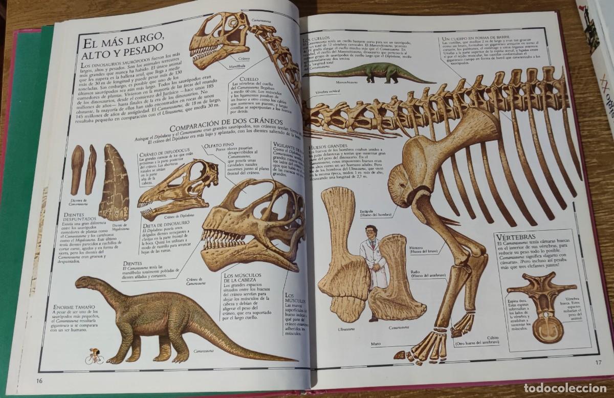 Libros de segunda mano: Atlas Visual de los Dinosaurios (1992) Ed. Bru&ntilde;o - Foto 6