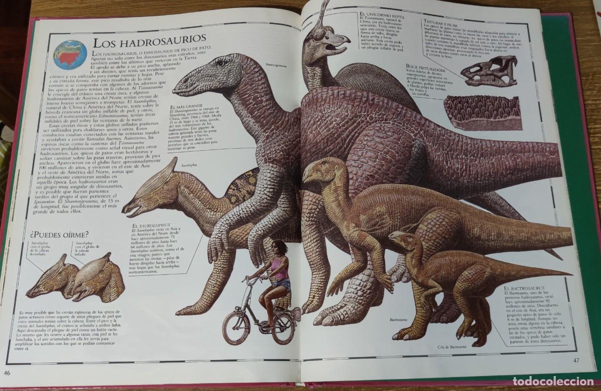Libros de segunda mano: Atlas Visual de los Dinosaurios (1992) Ed. Bru&ntilde;o - Foto 7