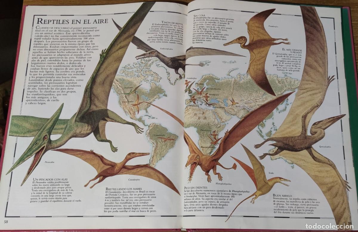 Libros de segunda mano: Atlas Visual de los Dinosaurios (1992) Ed. Bru&ntilde;o - Foto 8