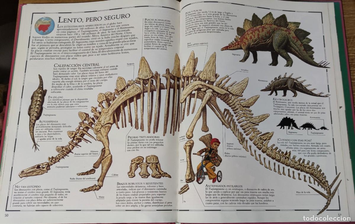 Libros de segunda mano: Atlas Visual de los Dinosaurios (1992) Ed. Bru&ntilde;o - Foto 9