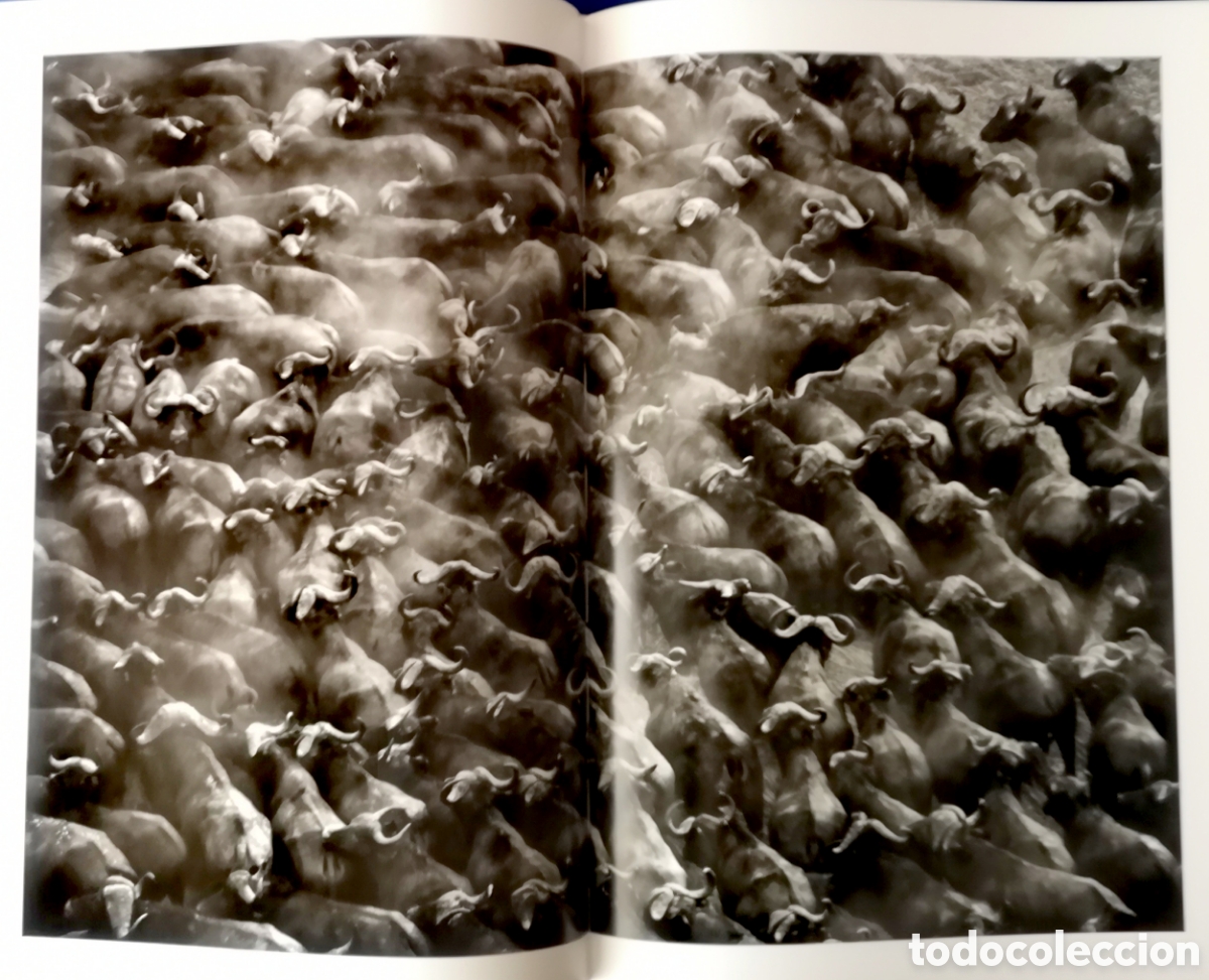 Libros de segunda mano: G&Eacute;NESIS - SEBASTIAN SALGADO - LIBRO DE FOTOS - Foto 3