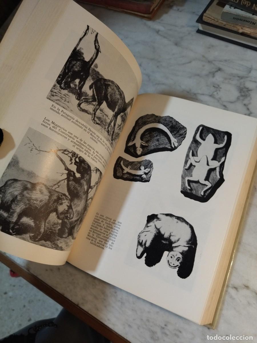 Libros de segunda mano: Antes del Diluvio Herbert Wendt- libro F&oacute;siles - Foto 4