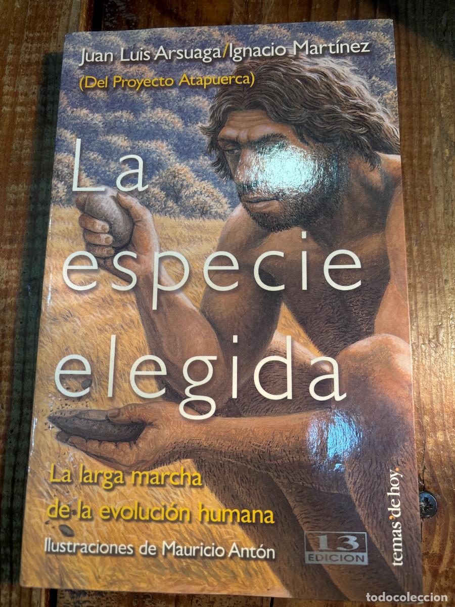 Libros de segunda mano: La especie elegida Mart&iacute;nez, Ignacio; Arsuaga, Juan Luis - Foto 1