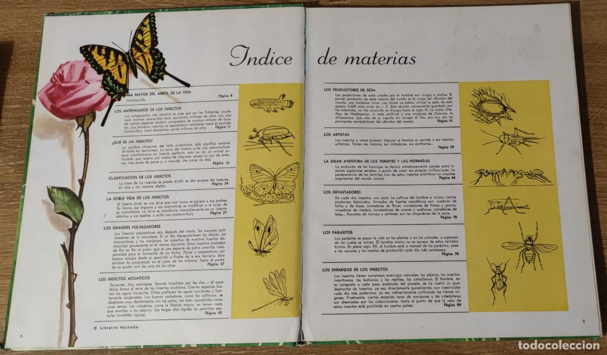 Libros de segunda mano: Libro - El mundo de los insectos (1971) Timun Mas - Foto 3