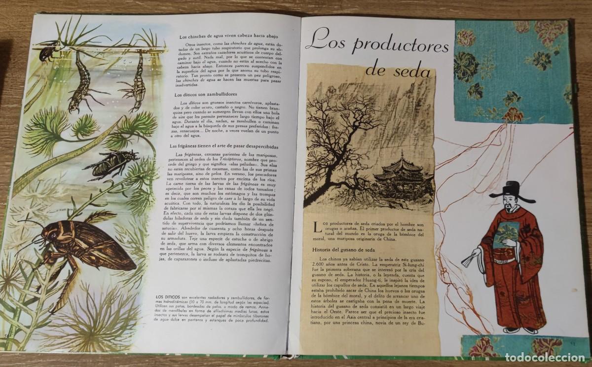 Libros de segunda mano: Libro - El mundo de los insectos (1971) Timun Mas - Foto 5