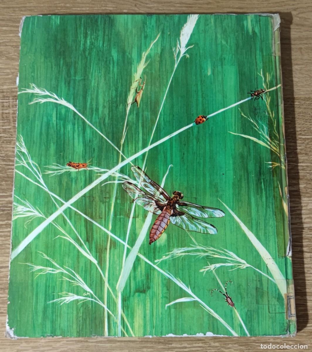 Libros de segunda mano: Libro - El mundo de los insectos (1971) Timun Mas - Foto 9