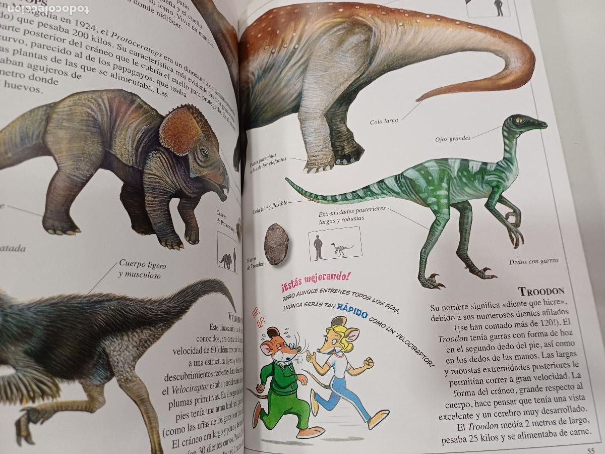 Libros de segunda mano: DINOSAURIOS/GERONIMO STILTON. - Foto 3