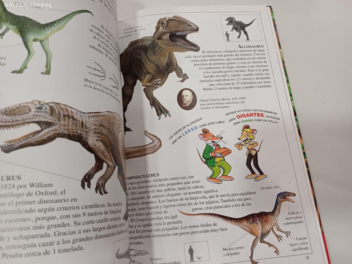 Libros de segunda mano: DINOSAURIOS/GERONIMO STILTON. - Foto 4