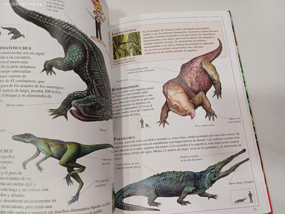 Libros de segunda mano: DINOSAURIOS/GERONIMO STILTON. - Foto 5