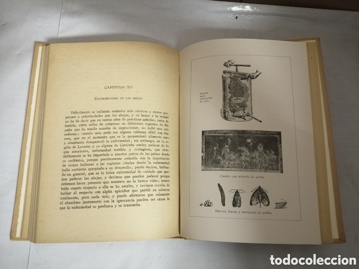 Libros de segunda mano: APICULTURA PR&Aacute;CTICA Y SENCILLA - Foto 10