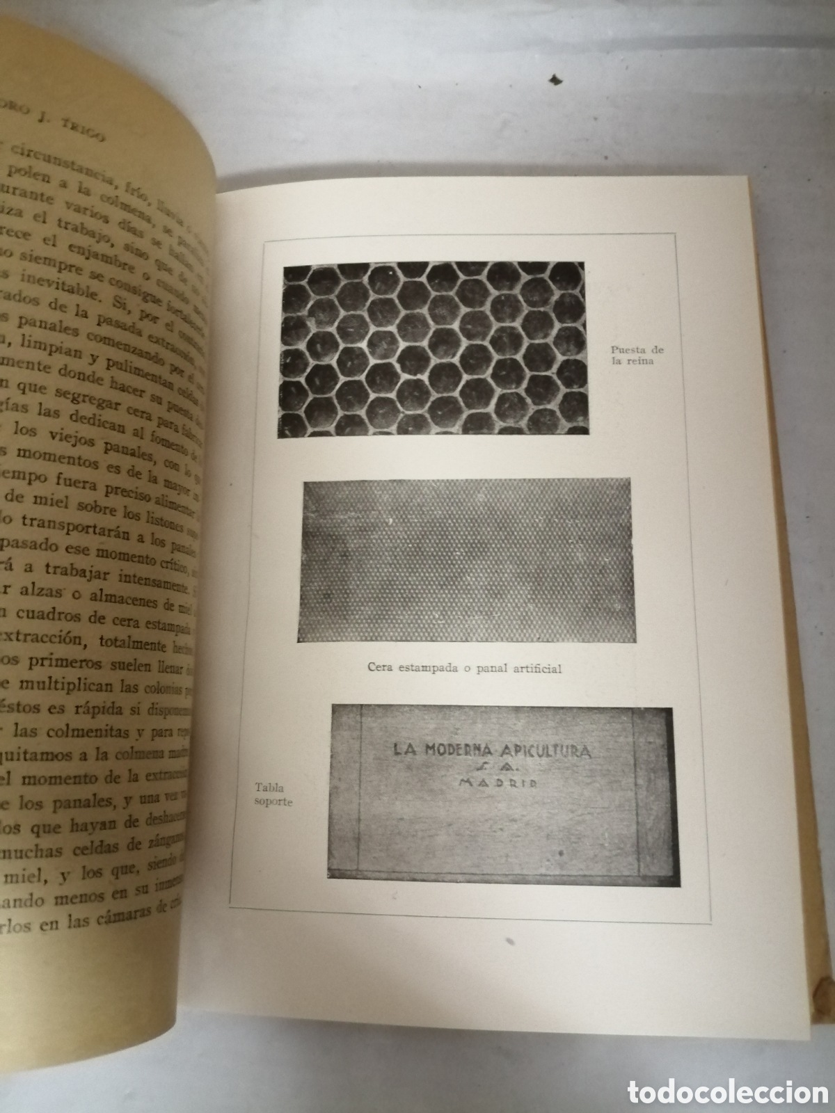Libros de segunda mano: APICULTURA PR&Aacute;CTICA Y SENCILLA - Foto 12