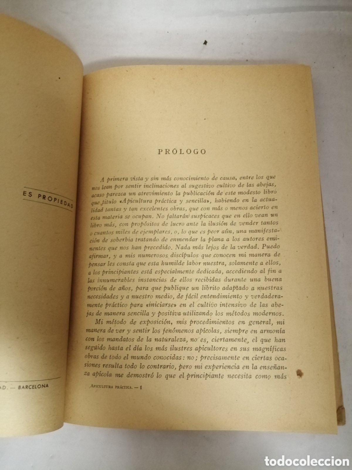 Libros de segunda mano: APICULTURA PR&Aacute;CTICA Y SENCILLA - Foto 13