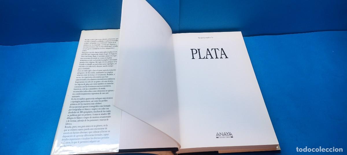 Libros de segunda mano: GU&Iacute;A PLATA.- SERGIO CORADESCHI - Foto 2