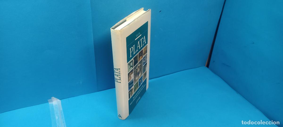 Libros de segunda mano: GU&Iacute;A PLATA.- SERGIO CORADESCHI - Foto 1