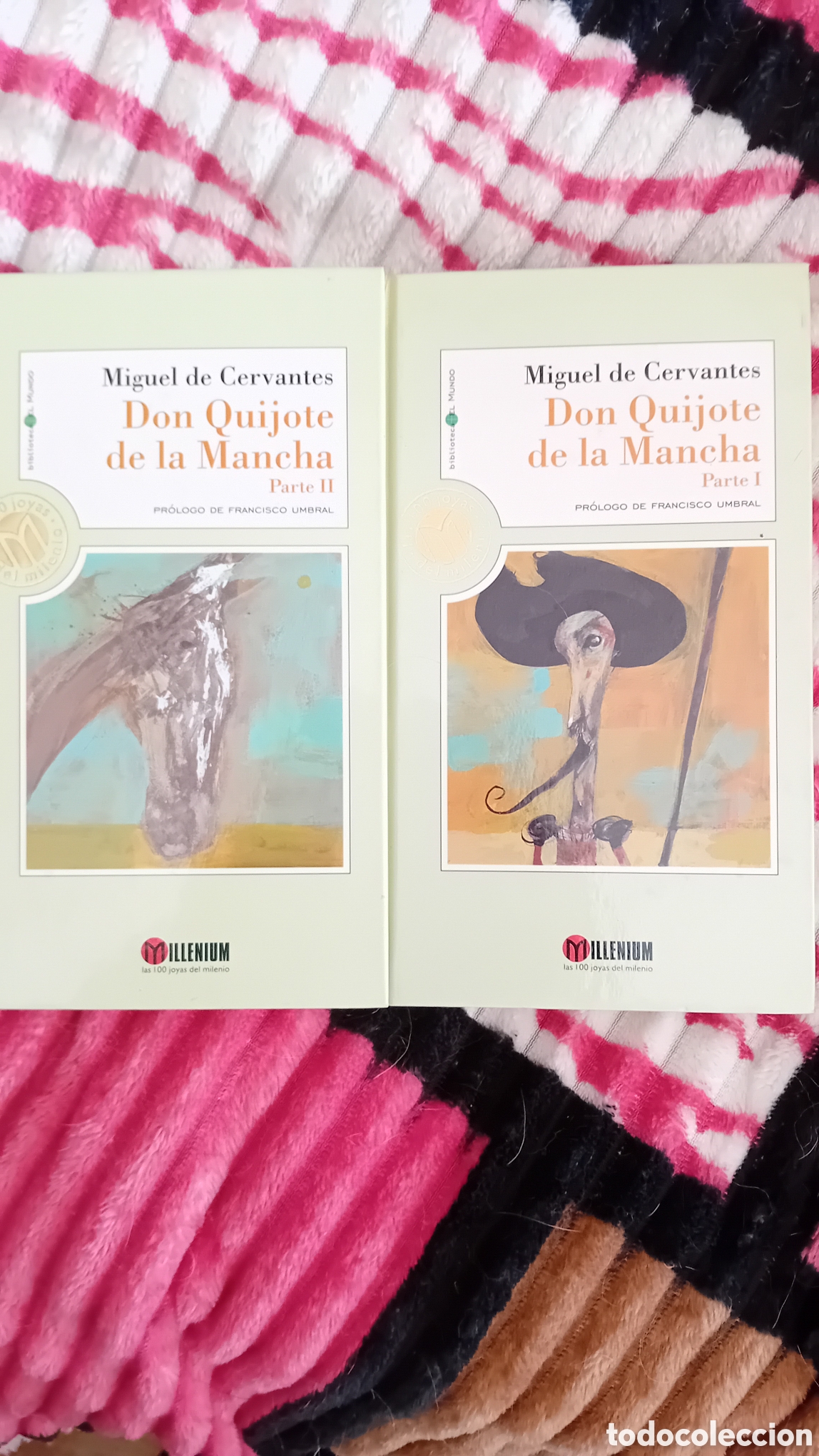 Libros de segunda mano: Don Quijote de la Mancha - Foto 1