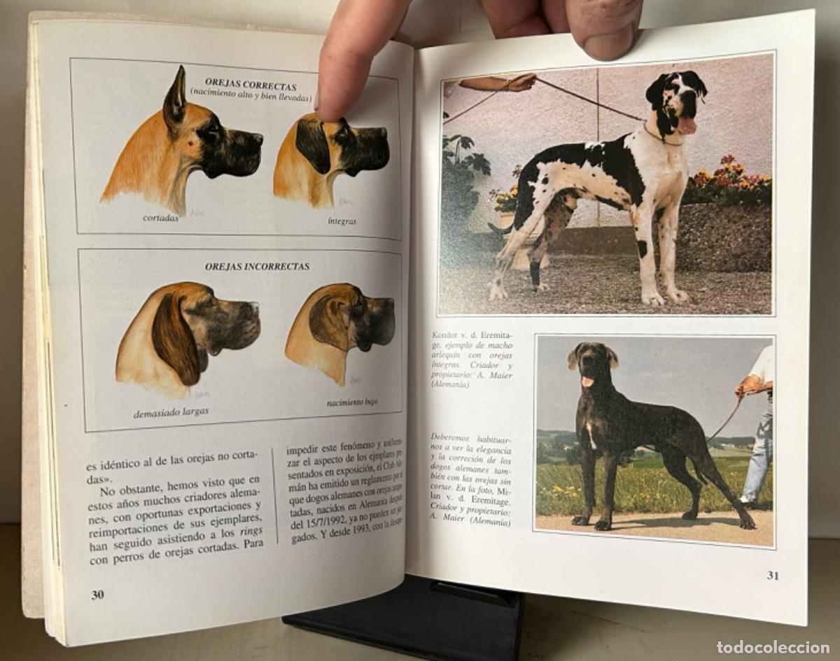 Libros de segunda mano: EL DOGO ALEM&Aacute;N. Marina Salmoiraghi - Foto 5