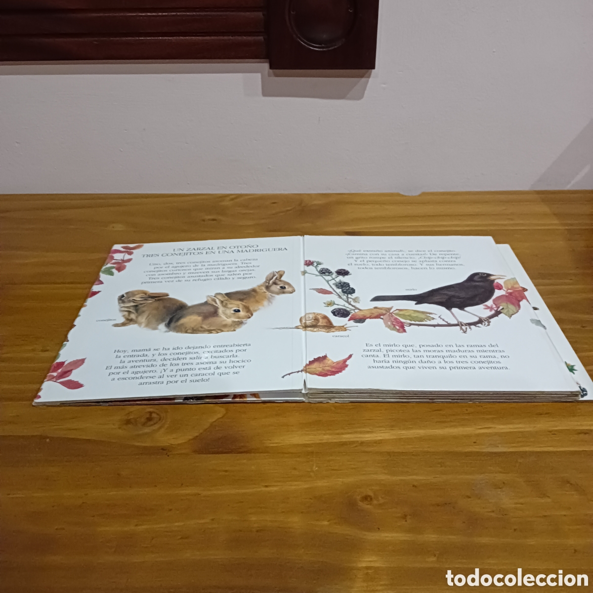 Libros de segunda mano: Un zarzal en oto&ntilde;o. Ediciones gaviota - Foto 2