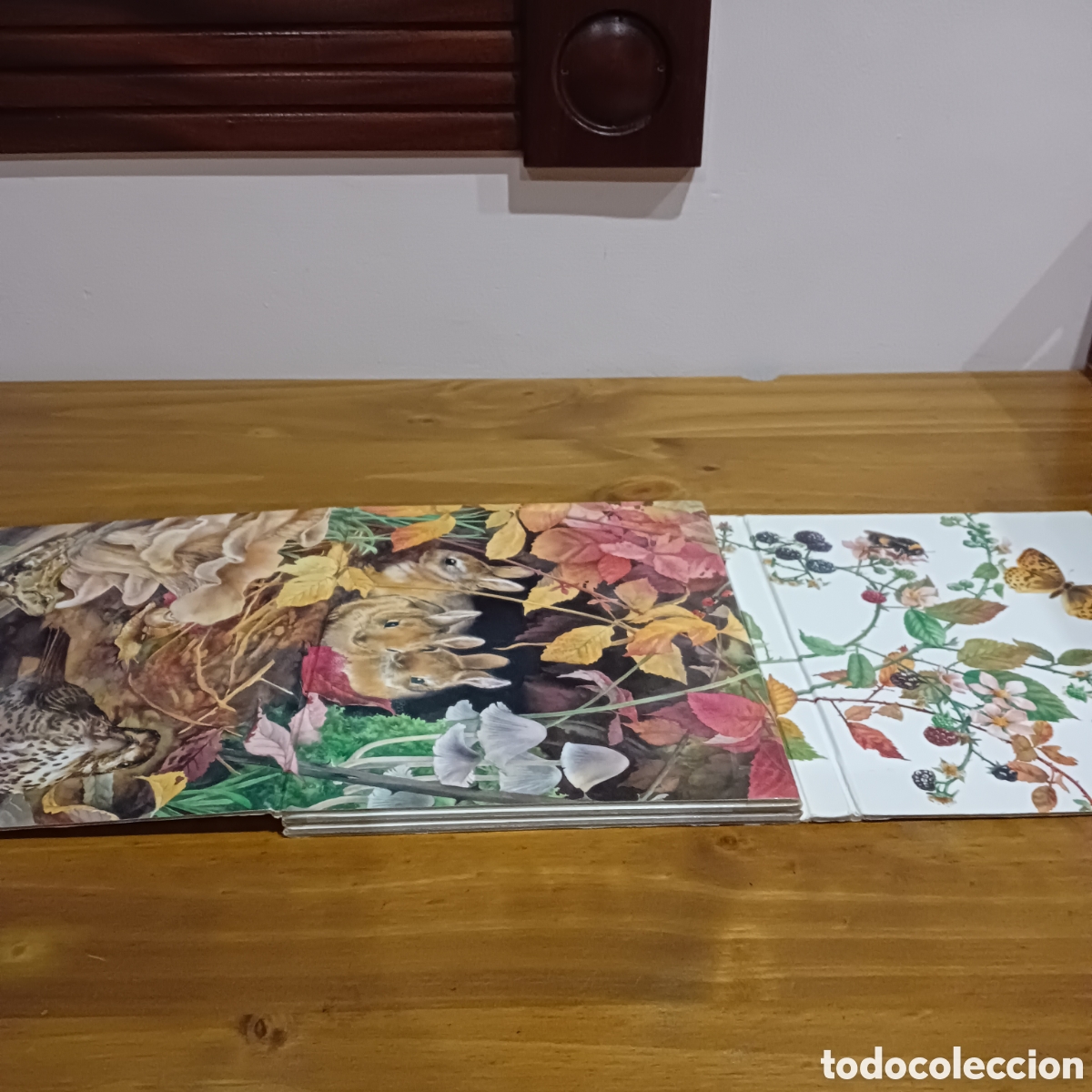 Libros de segunda mano: Un zarzal en oto&ntilde;o. Ediciones gaviota - Foto 4