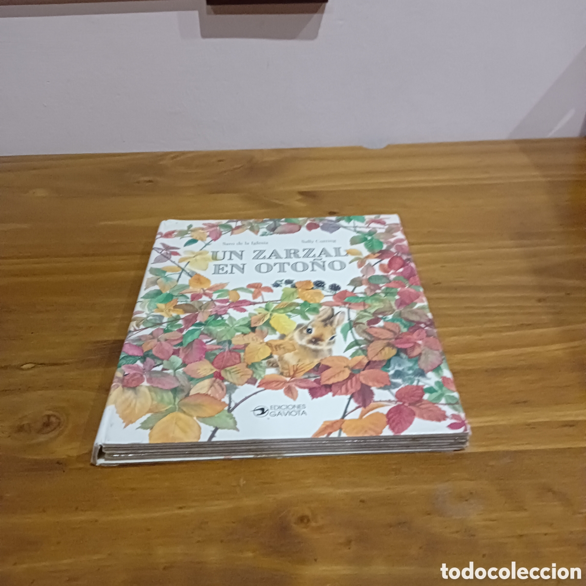 Libros de segunda mano: Un zarzal en oto&ntilde;o. Ediciones gaviota - Foto 1