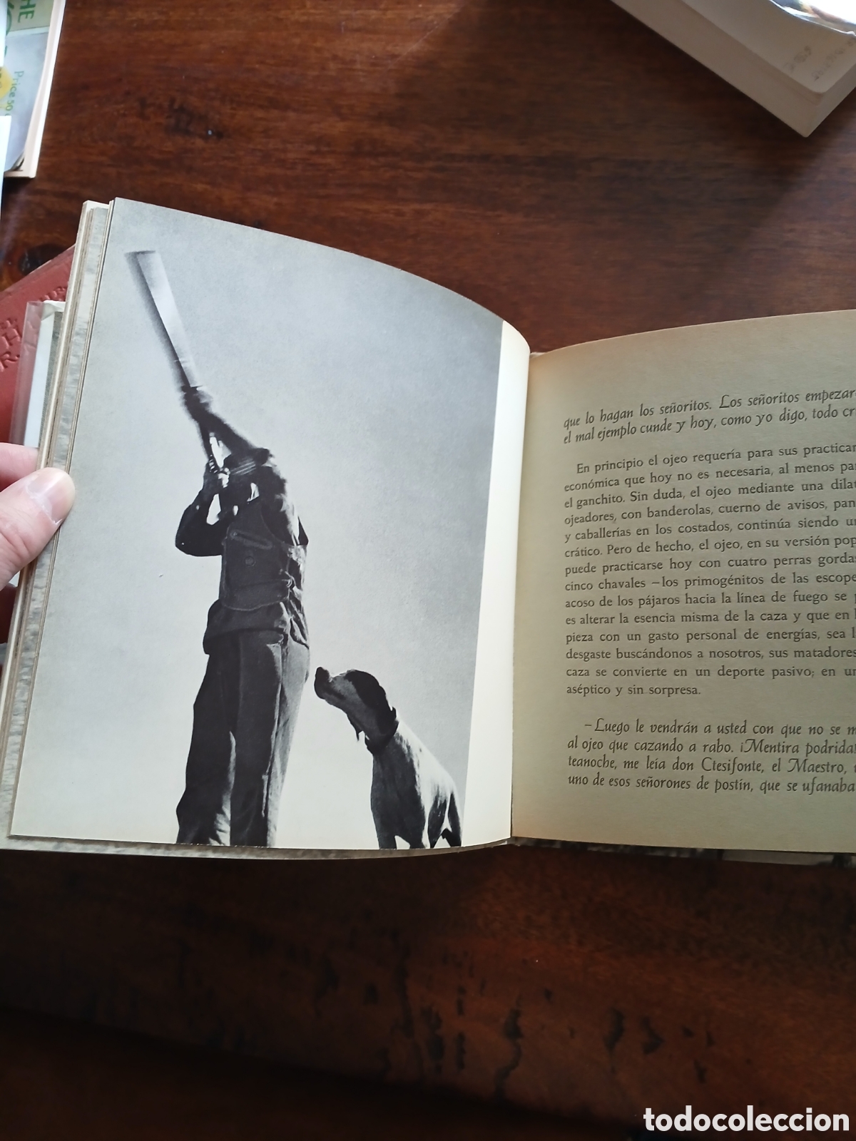Libros de segunda mano: La caza de la perdiz roja, Miguel Delibes - Foto 4