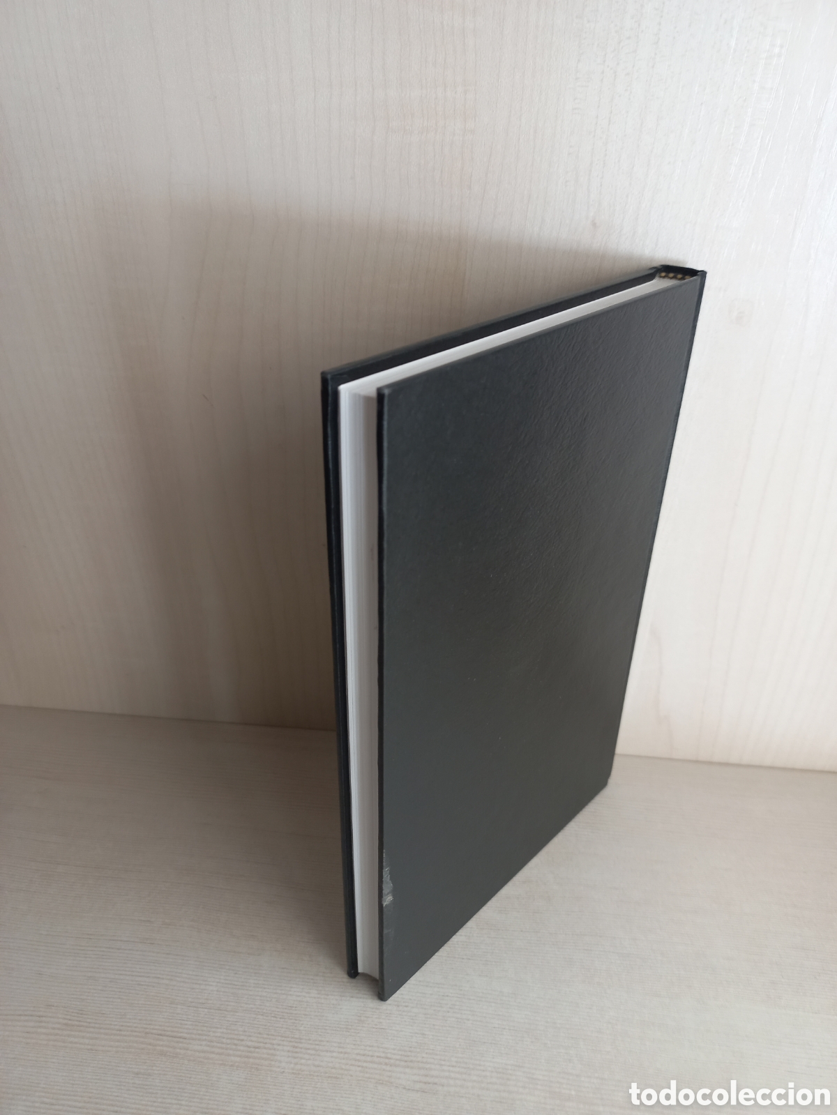Libros de segunda mano: Woolf Studies Annual Vol. 2. Pace University Press, 1996. Virginia Woolf. - Foto 3