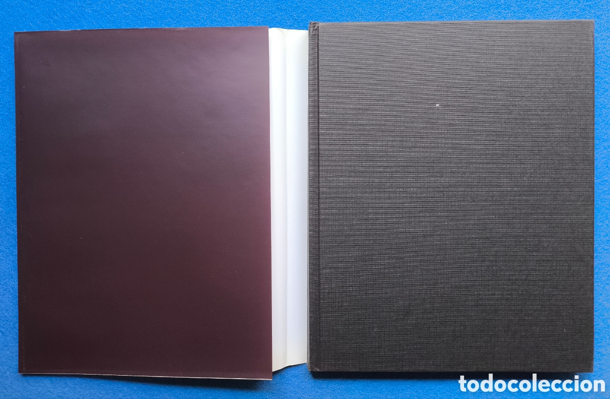 Libros de segunda mano: BERROCAL OBRA CAT&Aacute;LOGO LIBRO EXPOSICI&Oacute;N 2004 - Foto 6