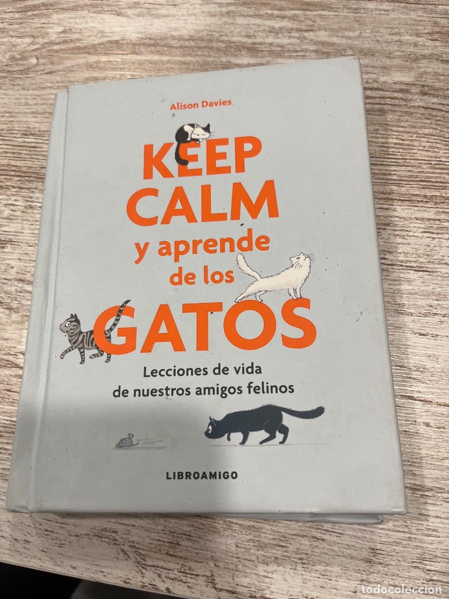 Libros de segunda mano: Libro Keep Calm y aprende de los gatos | Alison Davies | 2019 - Foto 1