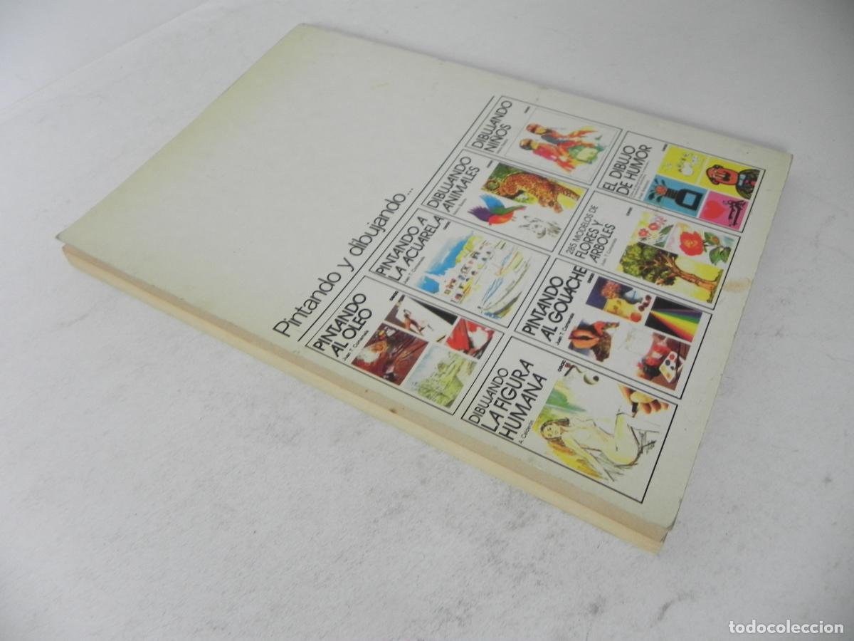 Libros de segunda mano: DIBUJANDO CARICATURAS (PASTECCA) CEAC-1982 - Foto 6