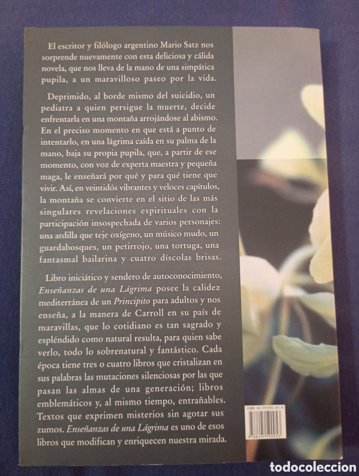 Libros de segunda mano: Mario Satz . Ense&ntilde;anzas de una lagrima . mtm editor - Foto 2