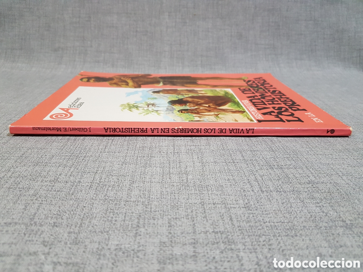 Libros de segunda mano: LA VIDA DE LOS HOMBRES EN LA PREHISTORIA. EDICIONES ALTEA. A&Ntilde;O 1981 - Foto 4