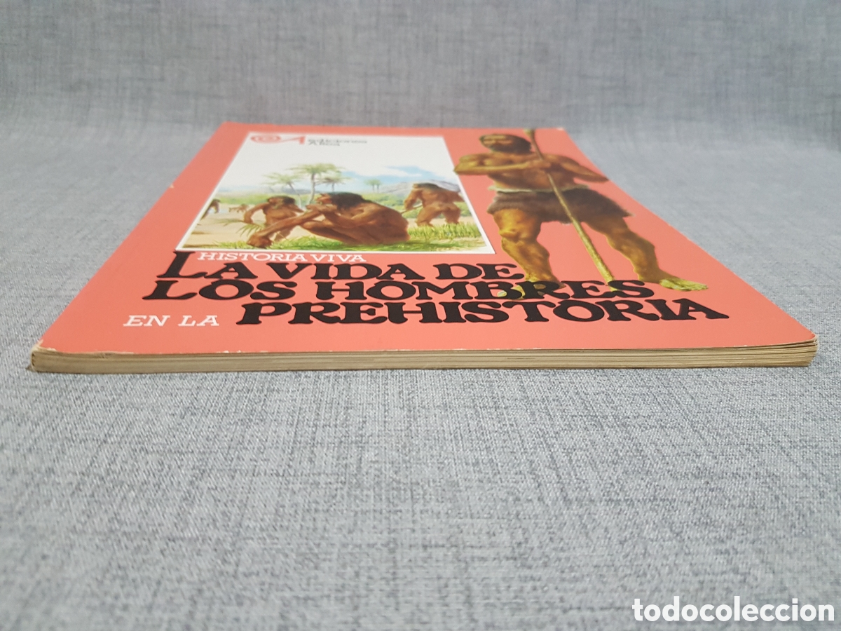 Libros de segunda mano: LA VIDA DE LOS HOMBRES EN LA PREHISTORIA. EDICIONES ALTEA. A&Ntilde;O 1981 - Foto 10