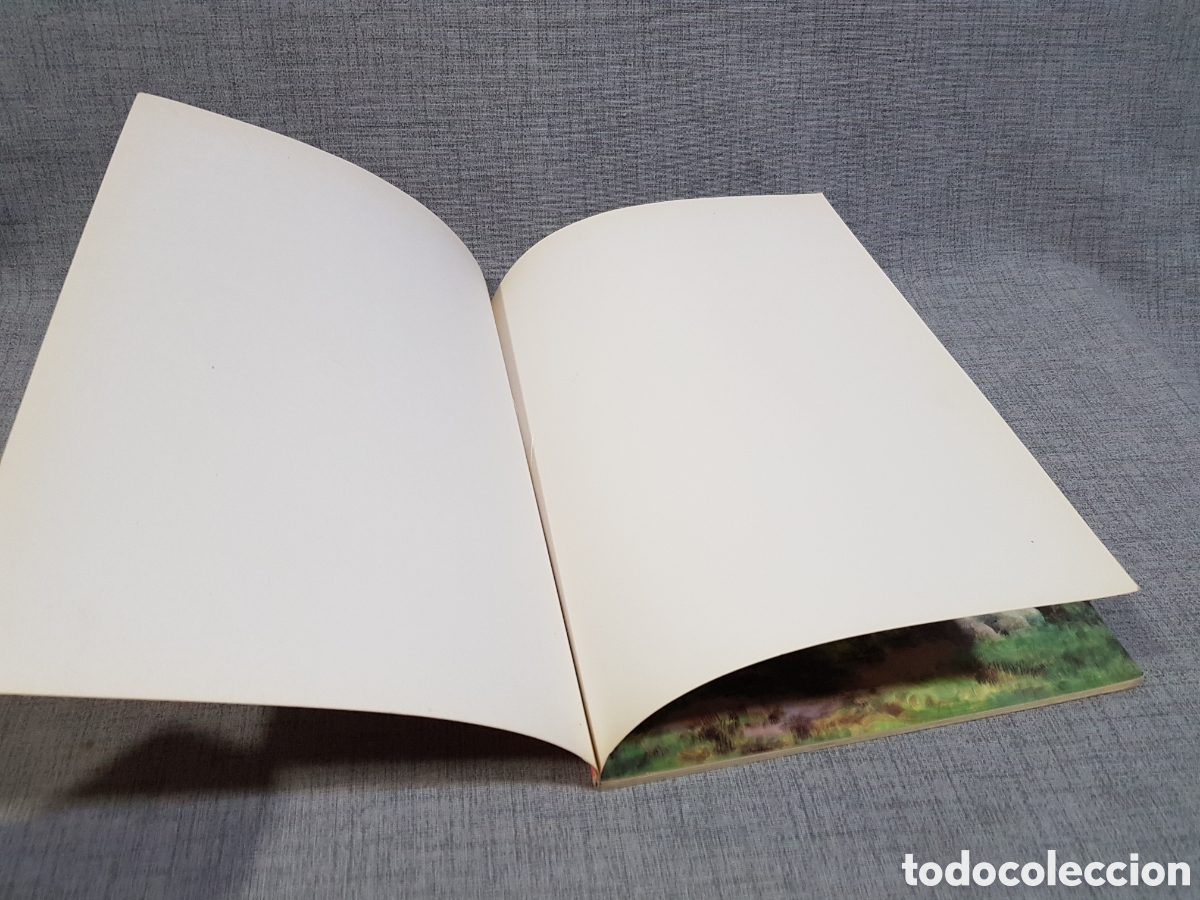 Libros de segunda mano: LA VIDA DE LOS HOMBRES EN LA PREHISTORIA. EDICIONES ALTEA. A&Ntilde;O 1981 - Foto 12