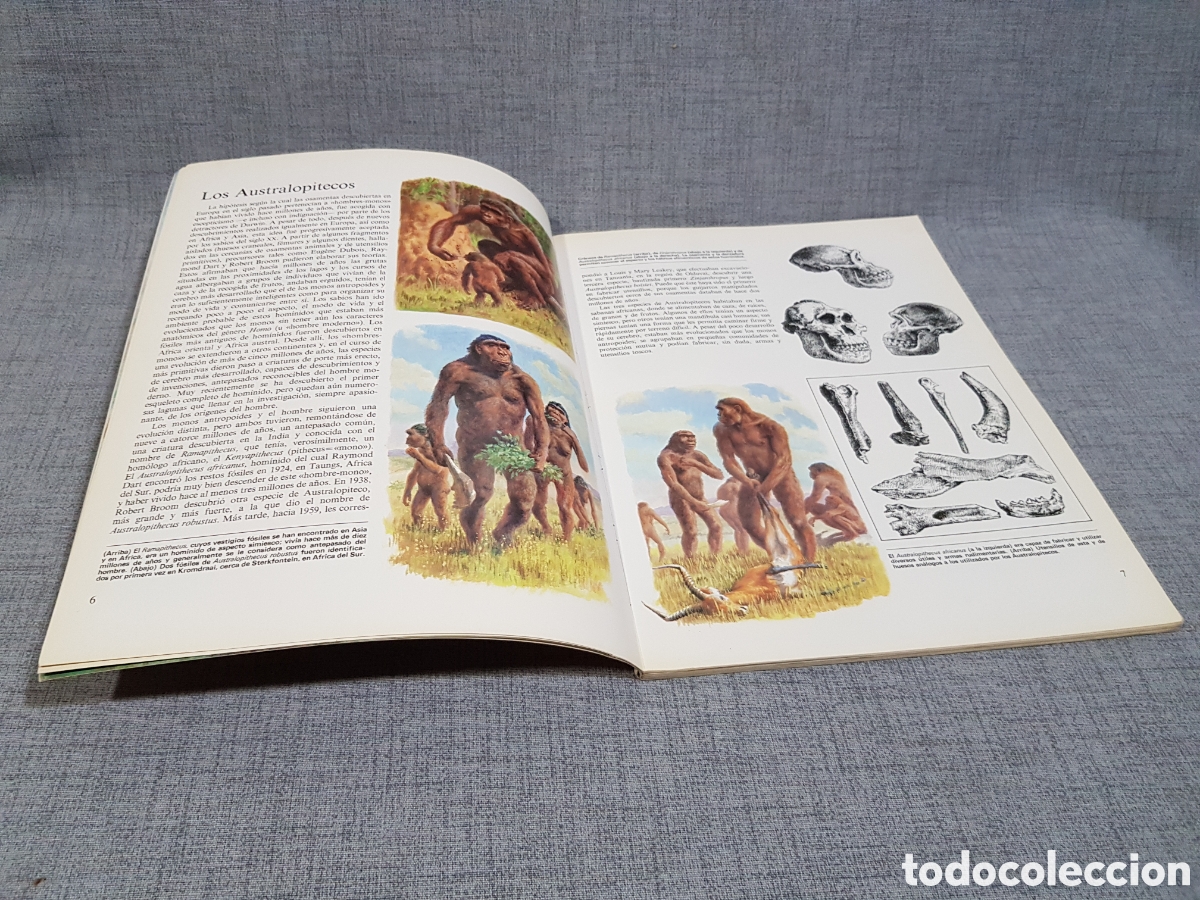 Libros de segunda mano: LA VIDA DE LOS HOMBRES EN LA PREHISTORIA. EDICIONES ALTEA. A&Ntilde;O 1981 - Foto 17
