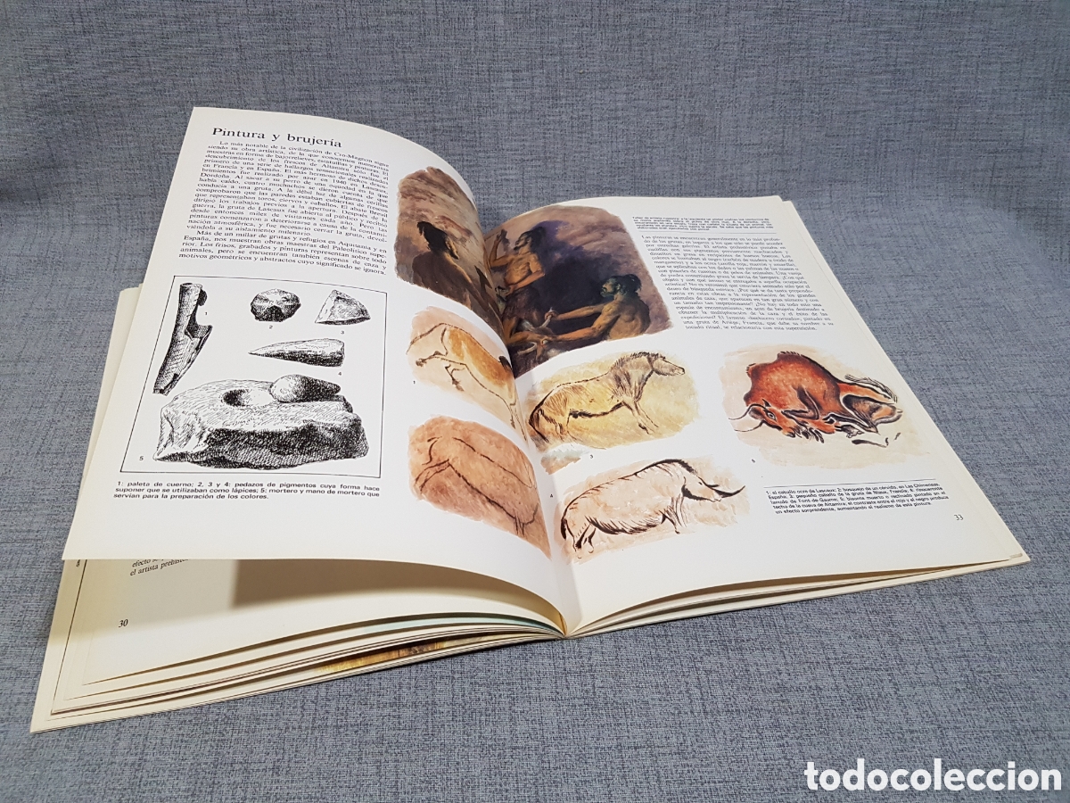 Libros de segunda mano: LA VIDA DE LOS HOMBRES EN LA PREHISTORIA. EDICIONES ALTEA. A&Ntilde;O 1981 - Foto 19