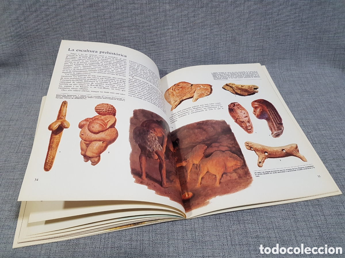 Libros de segunda mano: LA VIDA DE LOS HOMBRES EN LA PREHISTORIA. EDICIONES ALTEA. A&Ntilde;O 1981 - Foto 20