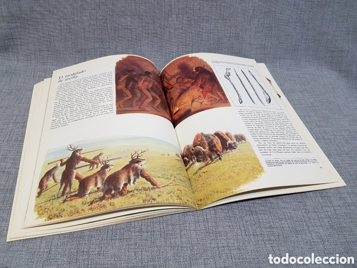 Libros de segunda mano: LA VIDA DE LOS HOMBRES EN LA PREHISTORIA. EDICIONES ALTEA. A&Ntilde;O 1981 - Foto 21