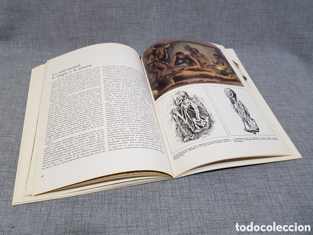 Libros de segunda mano: LA VIDA DE LOS HOMBRES EN LA PREHISTORIA. EDICIONES ALTEA. A&Ntilde;O 1981 - Foto 22