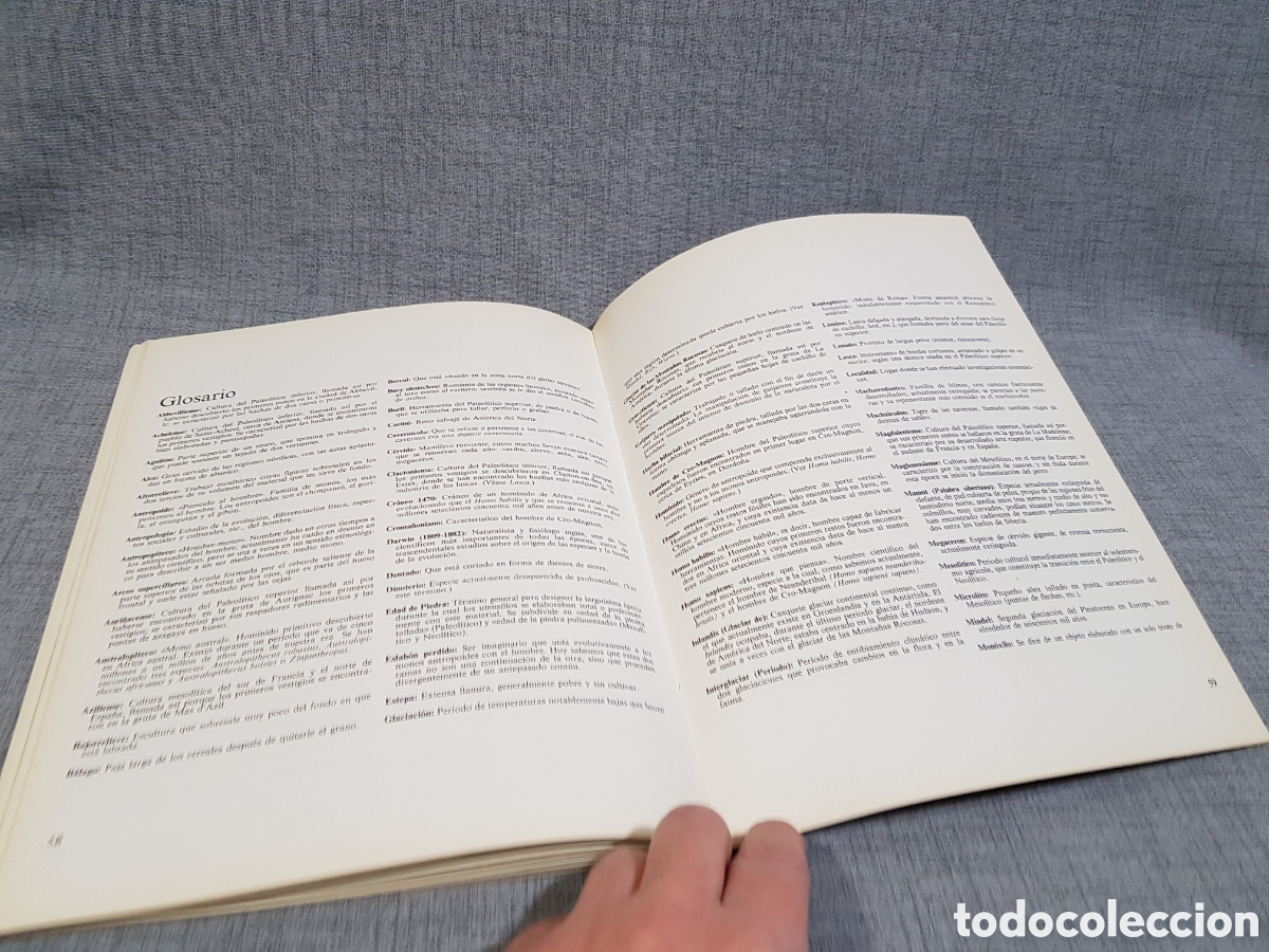 Libros de segunda mano: LA VIDA DE LOS HOMBRES EN LA PREHISTORIA. EDICIONES ALTEA. A&Ntilde;O 1981 - Foto 23