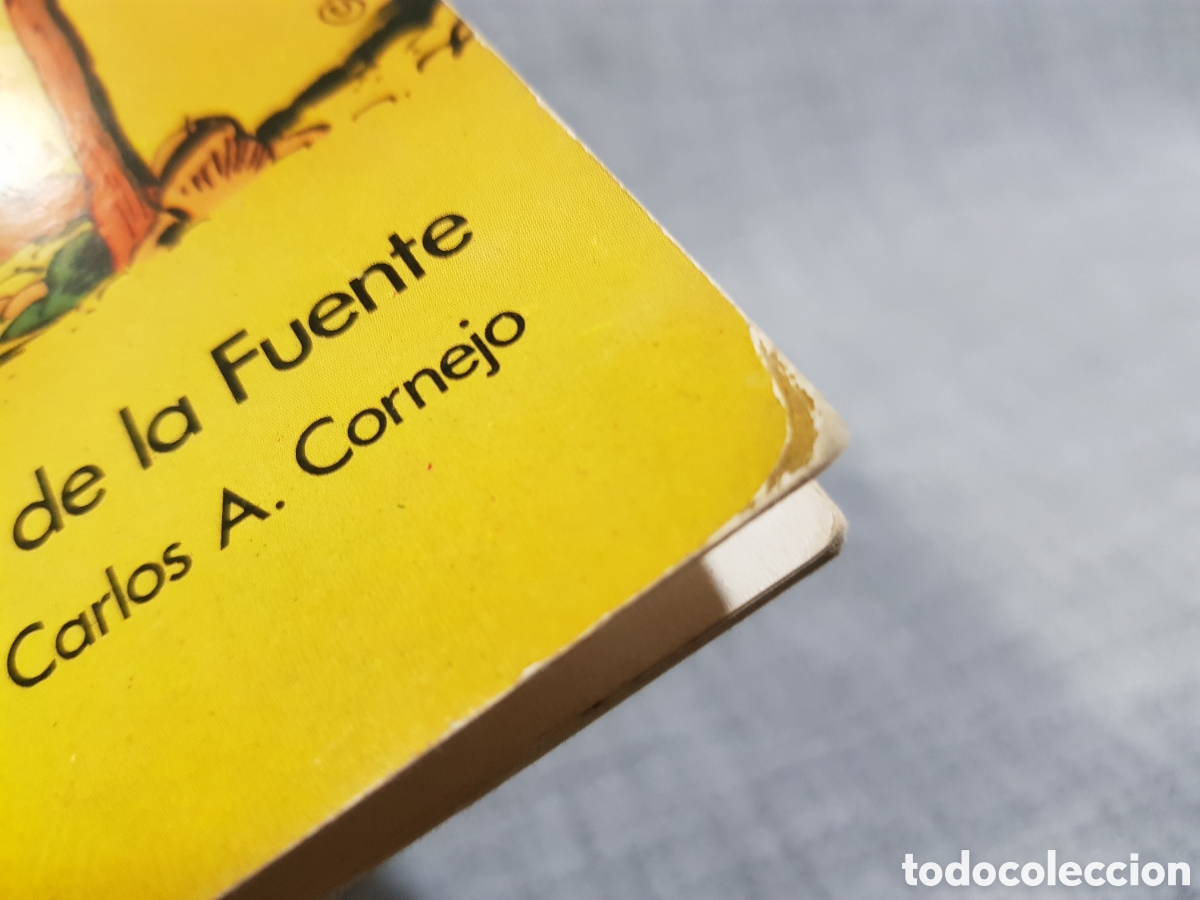 Libros de segunda mano: GUILLERMO TELL. SEDMAY EDICIONES A&Ntilde;O 1975 - Foto 13