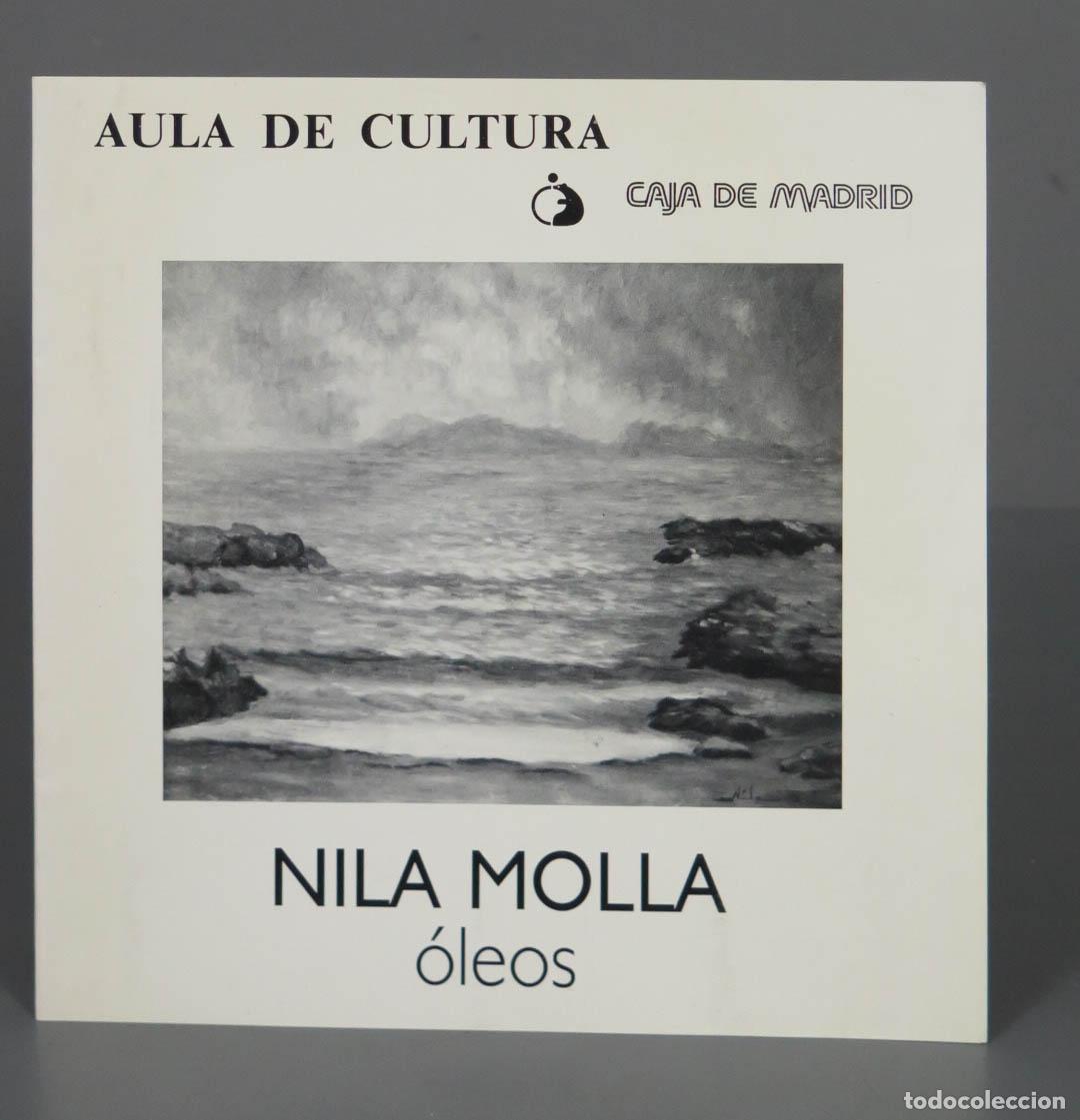 Libros de segunda mano: NILA MOLLA &oacute;leos. DIPTICO - Foto 1
