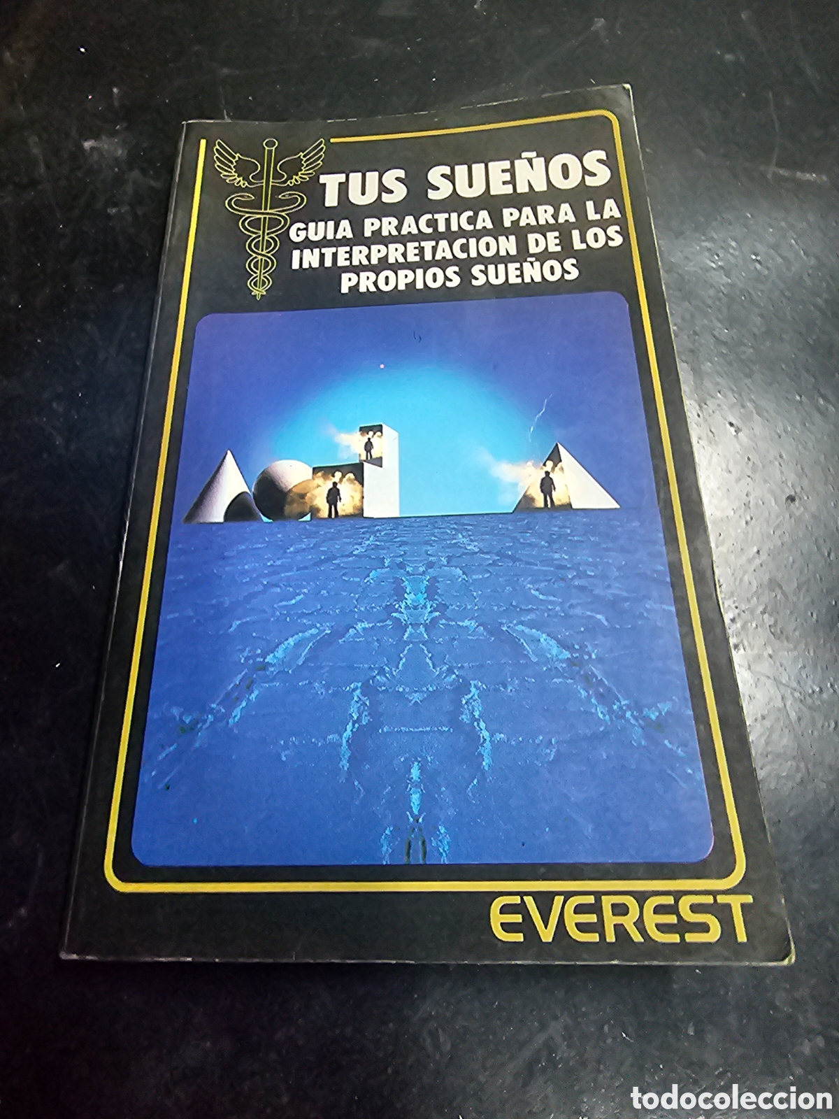 Libros de segunda mano: TUS SUE&Ntilde;OS - GUIA PRACTICA PARA LA INTERPRETACION DE LOS PROPIOS SUE&Ntilde;OS - EVEREST - Foto 1