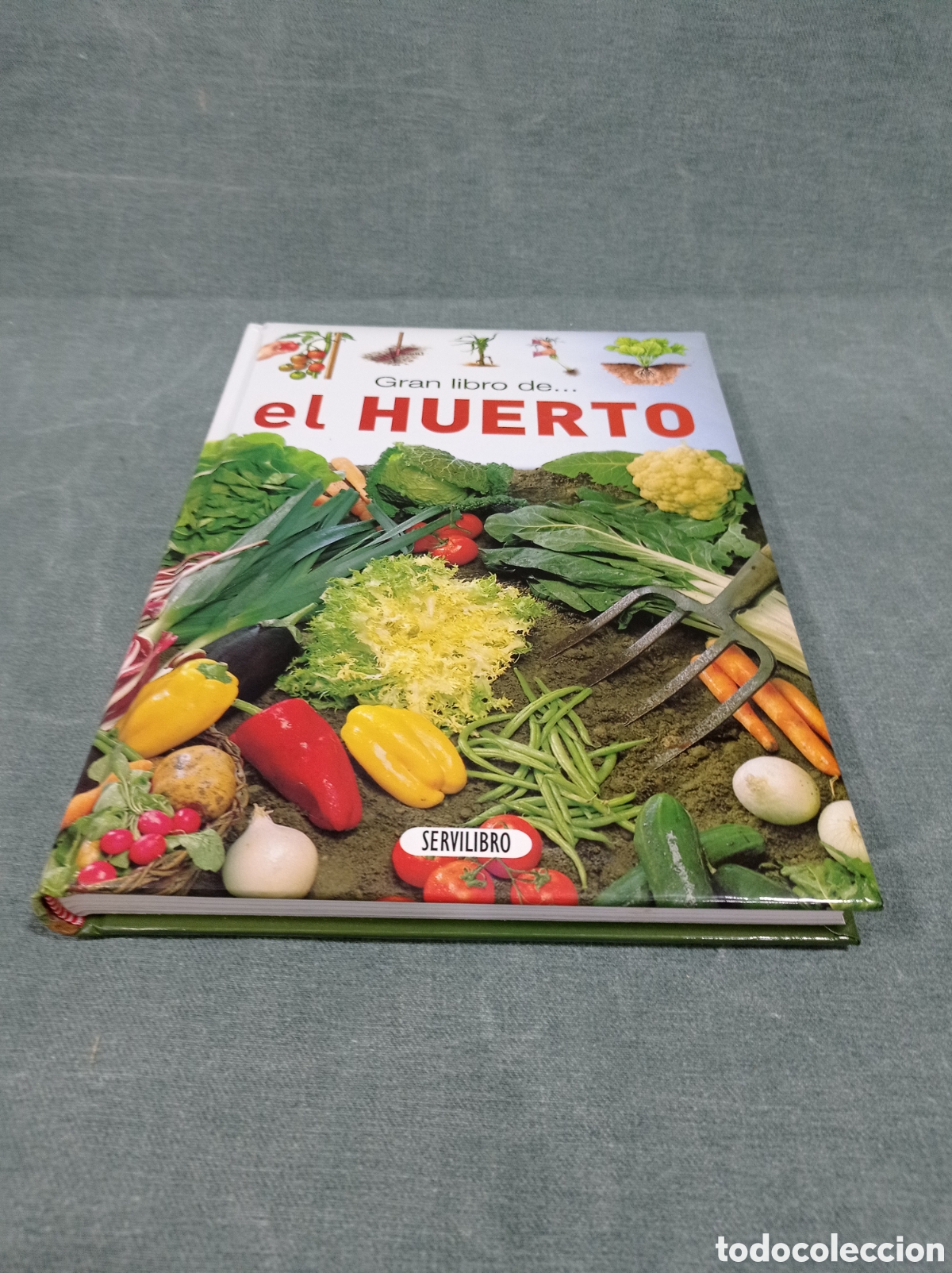 Libros de segunda mano: GRAN LIBRO DE... EL HUERTO - ED. SERVILIBRO - Foto 2