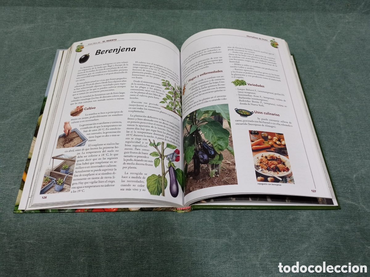 Libros de segunda mano: GRAN LIBRO DE... EL HUERTO - ED. SERVILIBRO - Foto 4