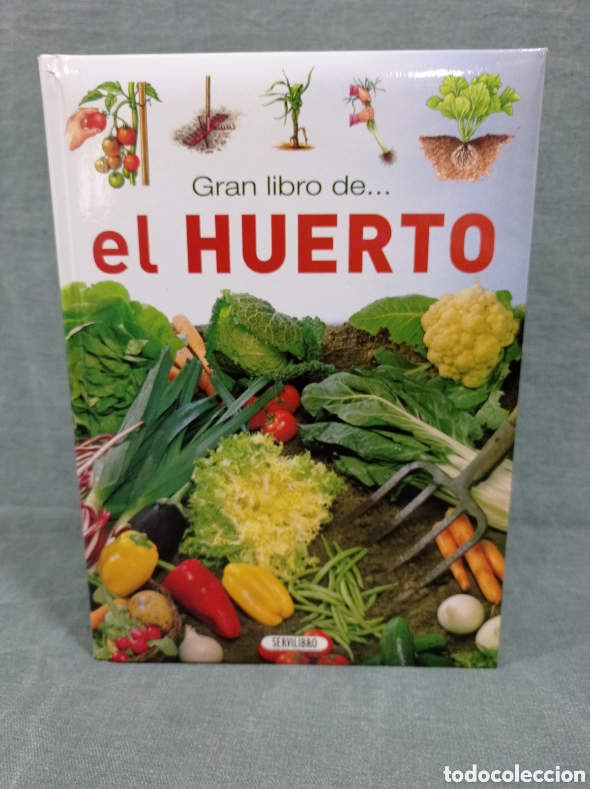 Libros de segunda mano: GRAN LIBRO DE... EL HUERTO - ED. SERVILIBRO - Foto 1