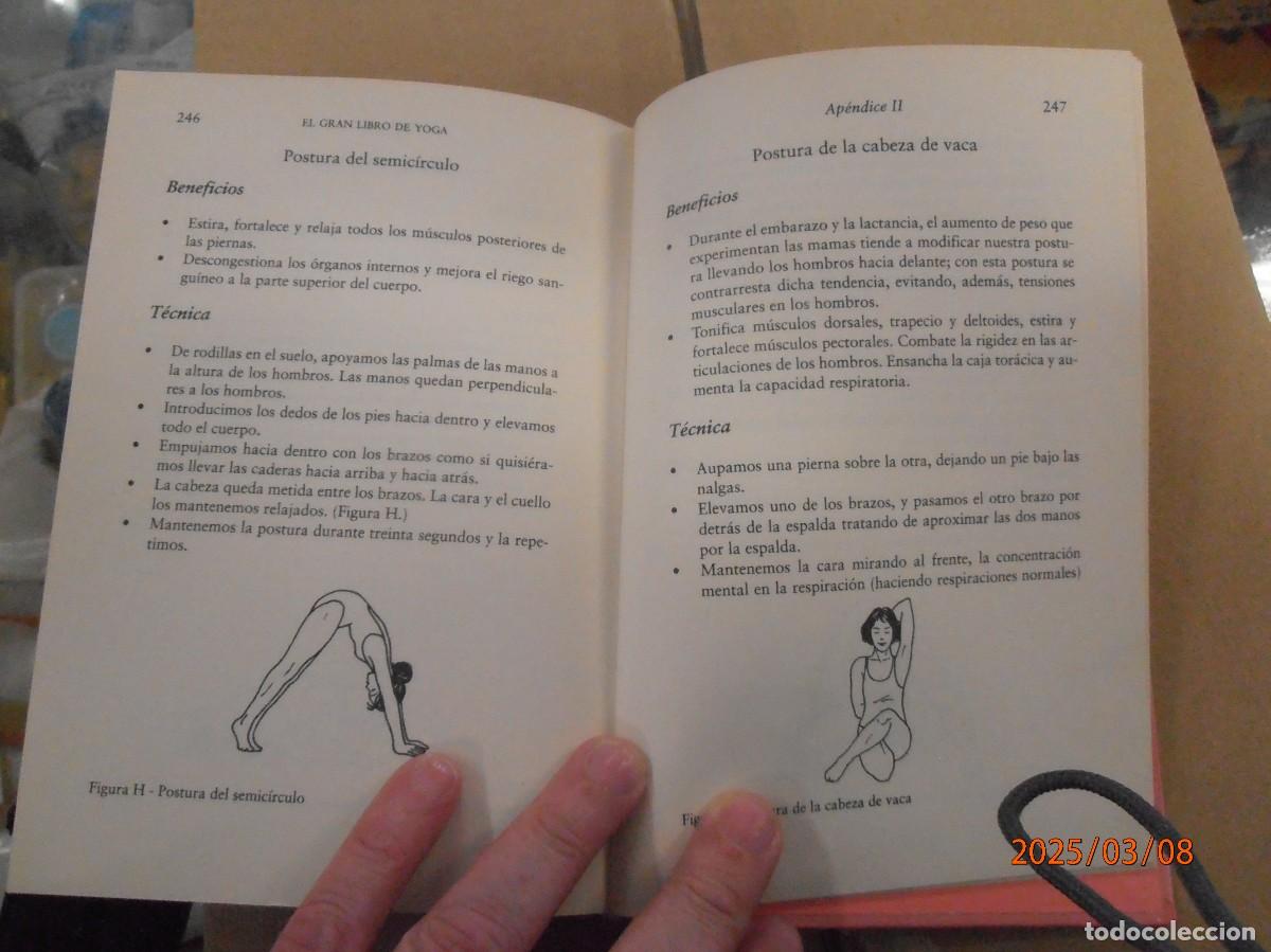 Libros de segunda mano: El gran libro de yoga - Ramiro Calle - Foto 6