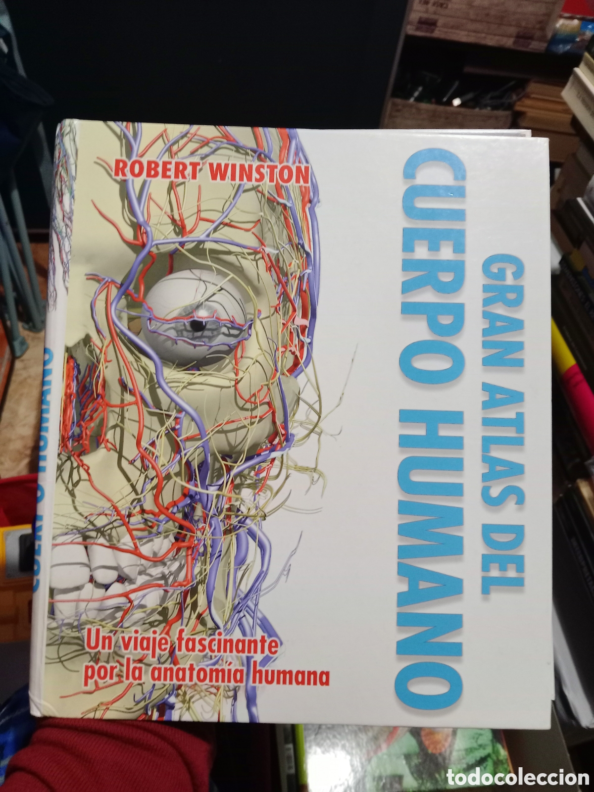 Libros de segunda mano: Gran atlas del cuerpo humano Robert Winston - Foto 1
