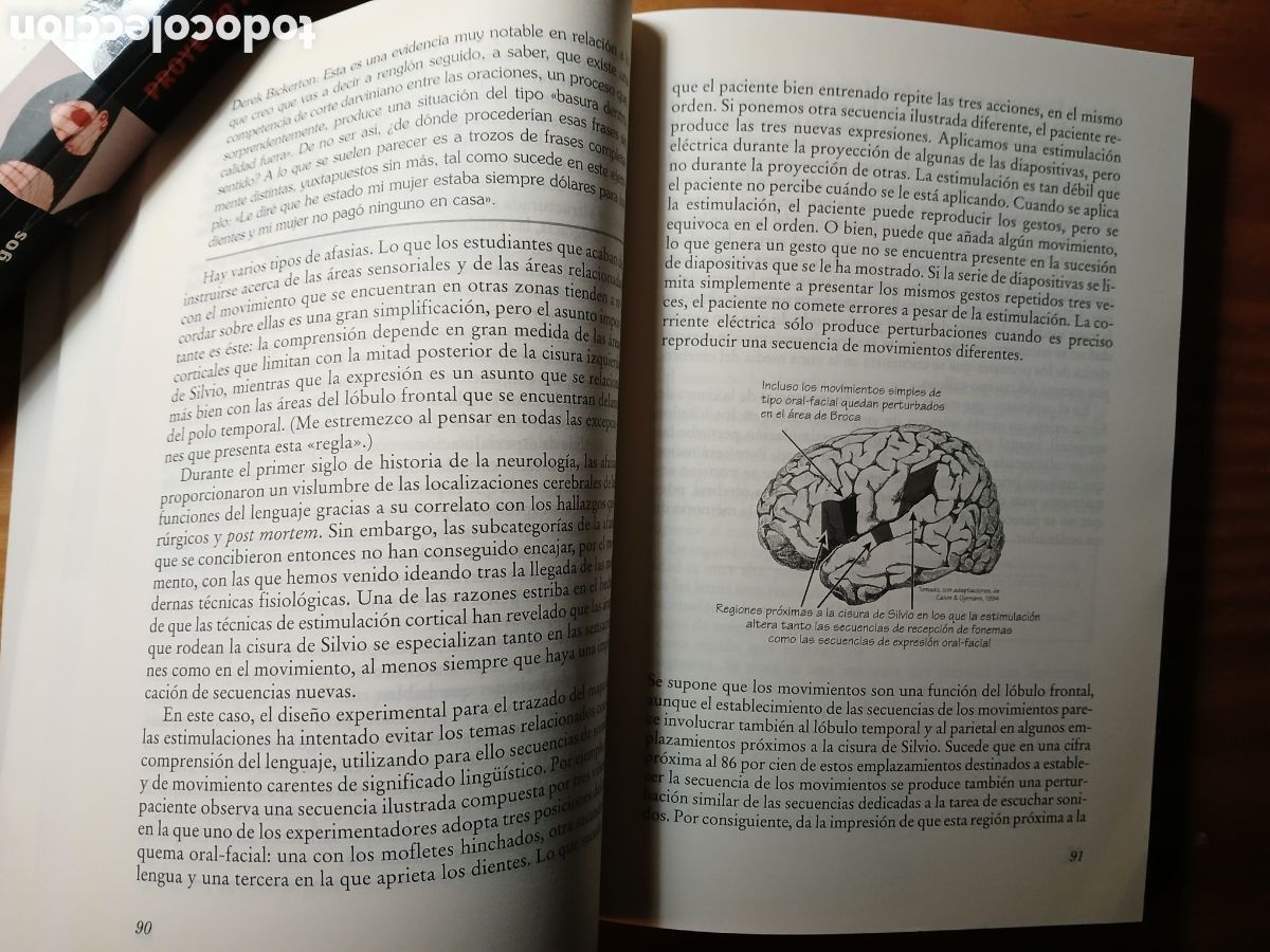 Libros de segunda mano: Lingua ex Machina. William H. Calvin y Derek Bickerton. - Foto 7