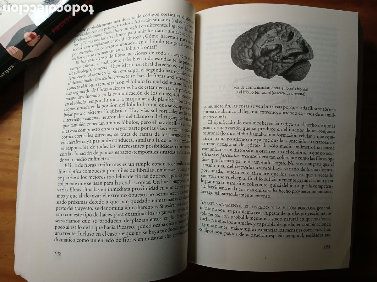 Libros de segunda mano: Lingua ex Machina. William H. Calvin y Derek Bickerton. - Foto 8