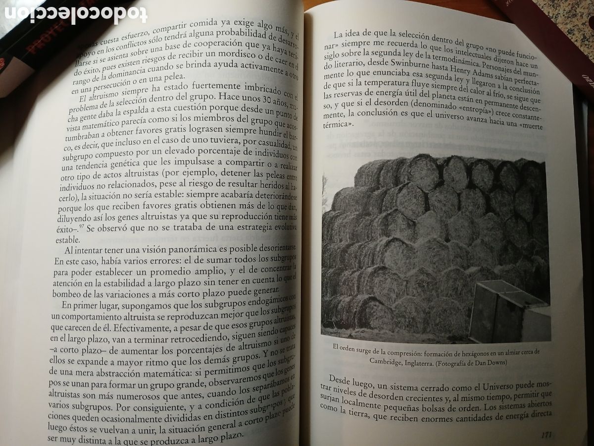 Libros de segunda mano: Lingua ex Machina. William H. Calvin y Derek Bickerton. - Foto 9