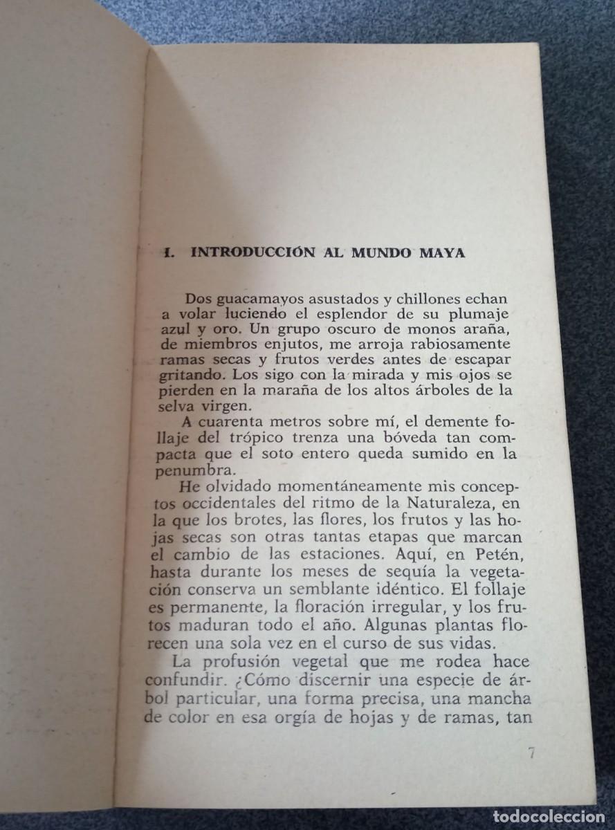 Libros de segunda mano: En El Pa&iacute;s De Los Mayas Pierre Ivanoff - Foto 5